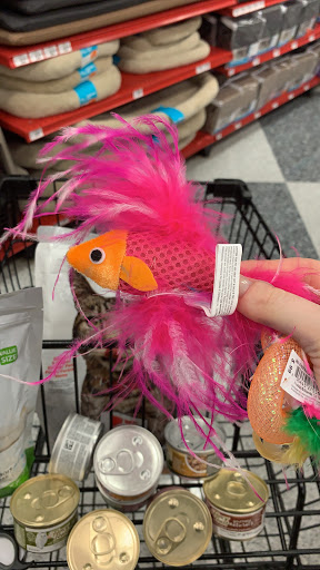 Pet Supply Store «Petco Animal Supplies», reviews and photos, 3577 S Rainbow Blvd, Las Vegas, NV 89103, USA