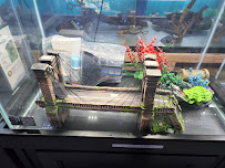 Rainbow Aquarium and Pond - Photo 3 - Car repair in Pacoima, CA, Santa Clarita