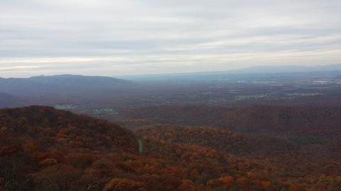 Moving Company «My Guys Moving & Storage Richmond», reviews and photos, 401 Dabbs House Rd, Richmond, VA 23223, USA