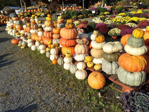 Produce Market «The Bigsby Market», reviews and photos, 1418 Dryden Rd, Freeville, NY 13068, USA