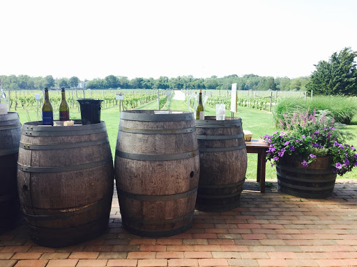 Winery «Channing Daughters Winery», reviews and photos, 1927 Scuttle Hole Rd, Bridgehampton, NY 11932, USA