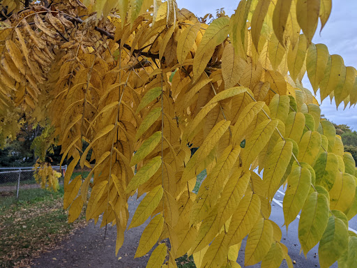 Golf Course «Green Lake Pitch & Putt», reviews and photos, 5701 Green Lake Way N, Seattle, WA 98103, USA