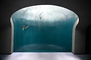 Shikoku Aquarium image