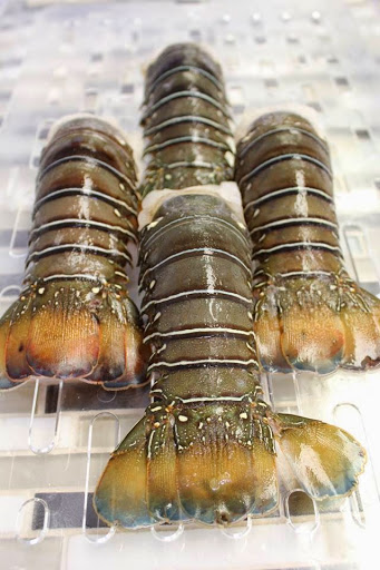 Seafood Market «Key West Shrimp Company», reviews and photos, 7217 Gulf Blvd, St Pete Beach, FL 33706, USA