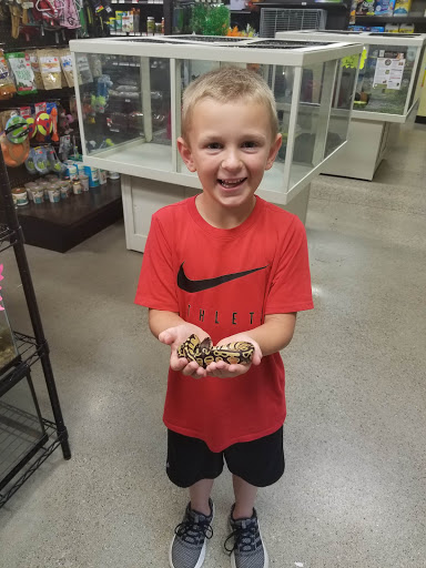 Pet Store «Premier Pet Supply», reviews and photos, 47810 Grand River Ave, Novi, MI 48374, USA