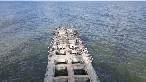 Amusement Park «Galveston Island Historic Pleasure Pier», reviews and photos, 2501 Seawall Blvd, Galveston, TX 77550, USA