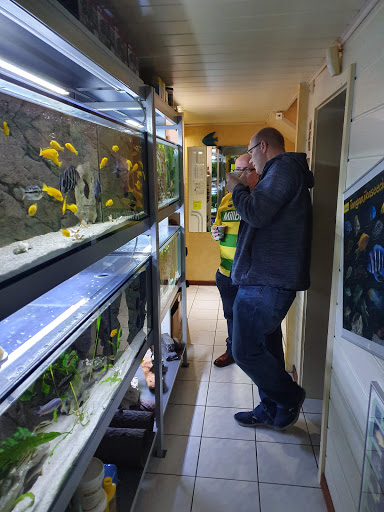 Deister-Aquaristik unter Barsinghausen, 