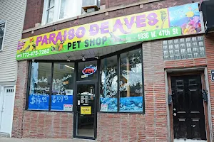 Paradise De Aves Pet Shop image