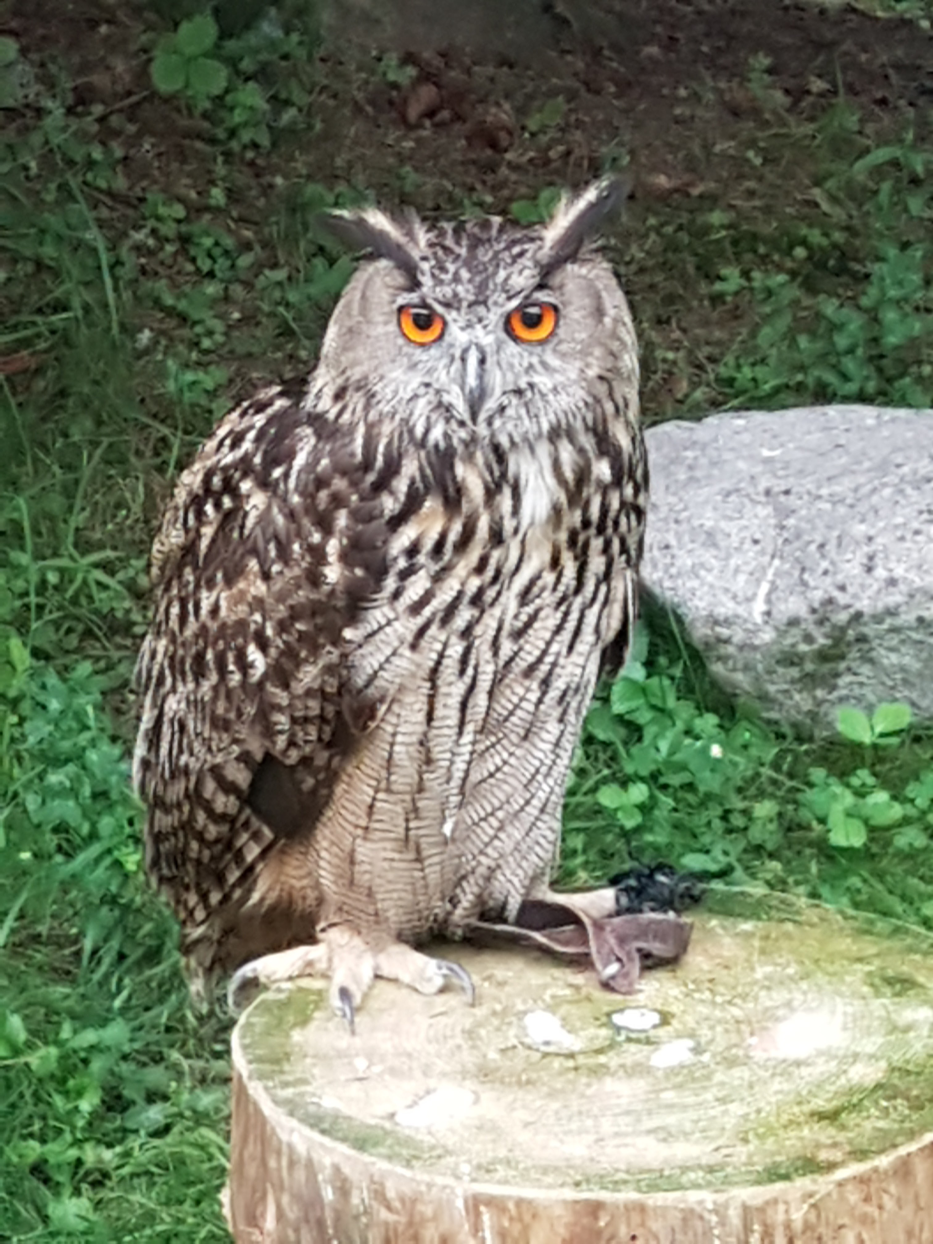 Photo n° 4 de l'avis de Ela.y fait le 18/08/2018 à 23:44