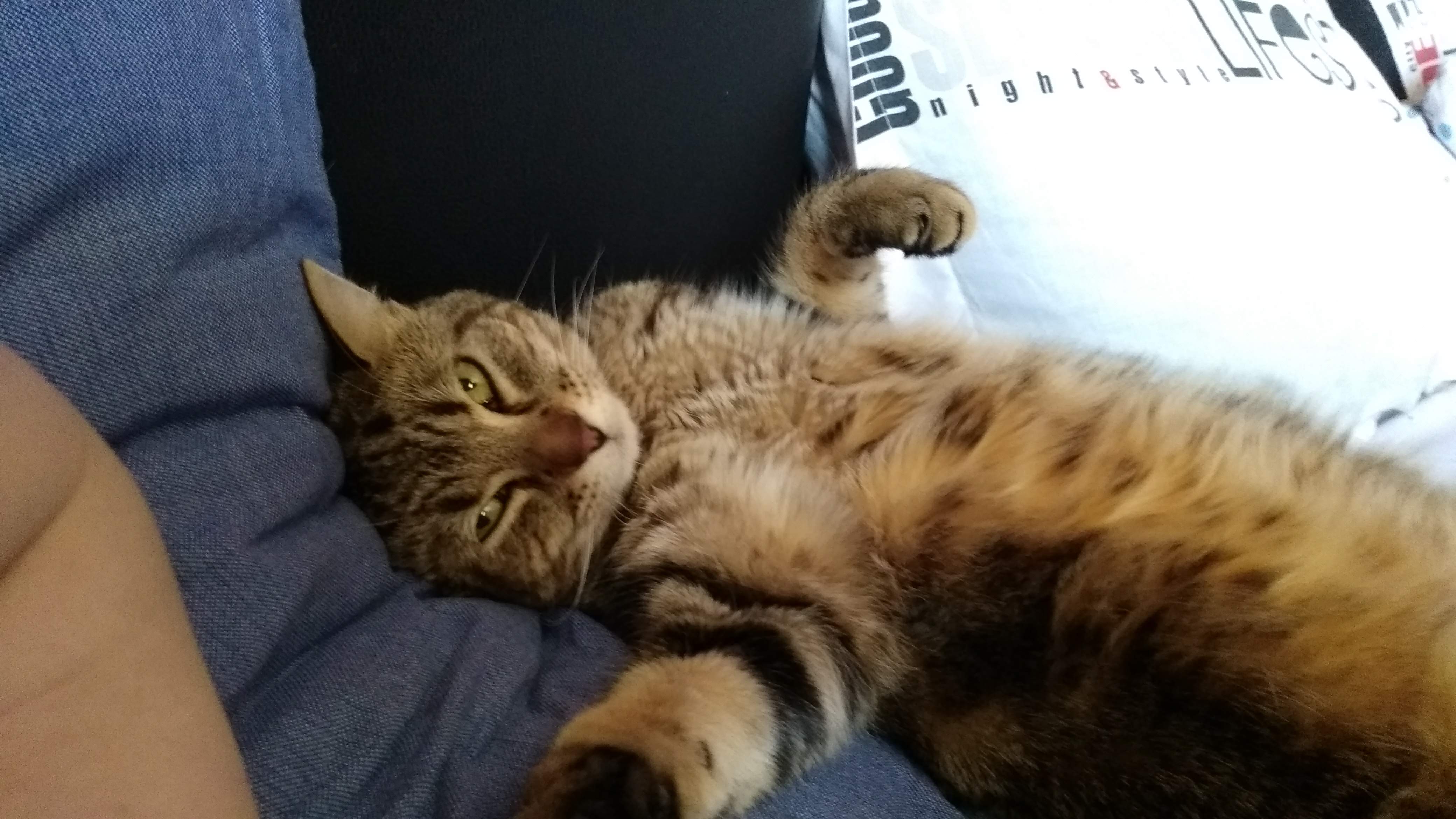 Photo n° 2 de l'avis de Aamaro.e fait le 05/09/2017 à 08:18