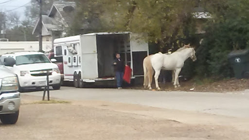 Butcher Shop «La Michoacana Meat Market», reviews and photos, 310 N Beckham Ave, Tyler, TX 75702, USA