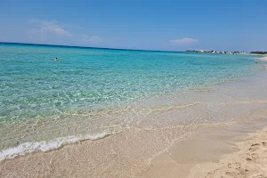 Spiaggia di Punta Prosciutto image