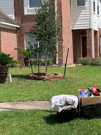 M & F Landscaping LLC - Photo 9 - Car repair in , Houston