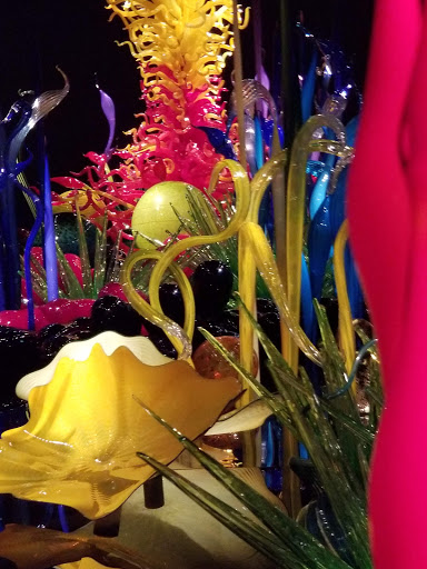 Tourist Attraction «Gum Wall», reviews and photos, 1428 Post Alley, Seattle, WA 98101, USA