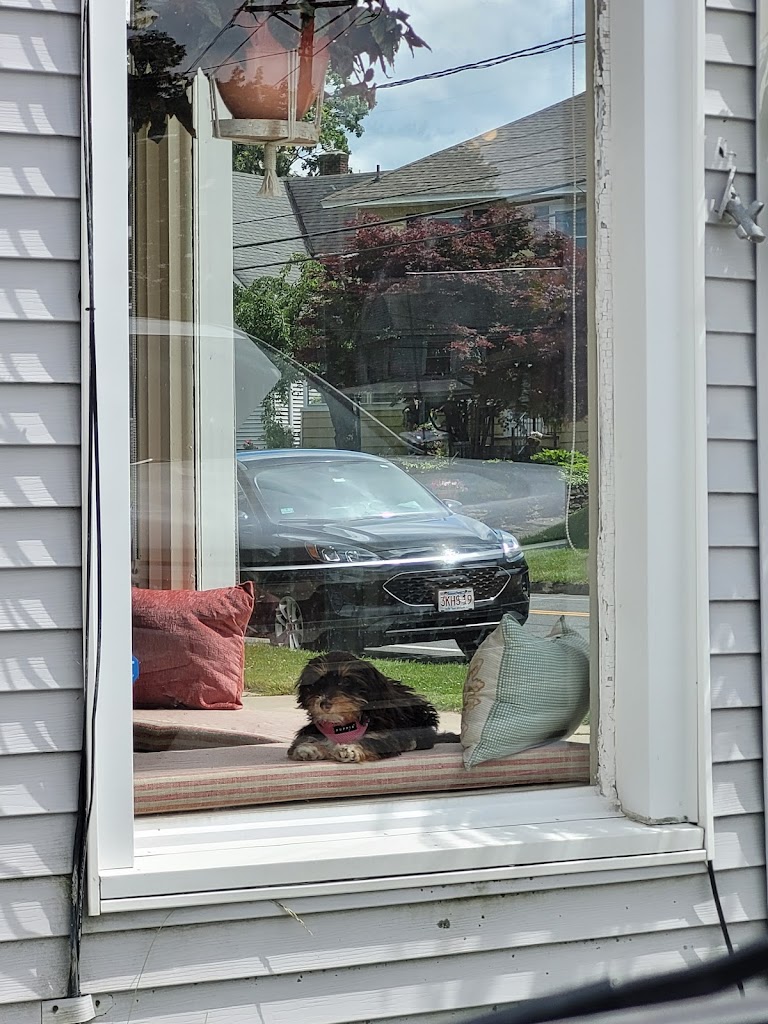 Evergreen Salon LLC 01201