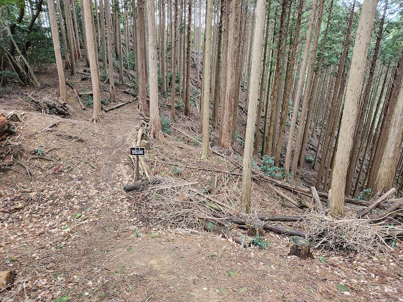 菩提山城 出曲輪