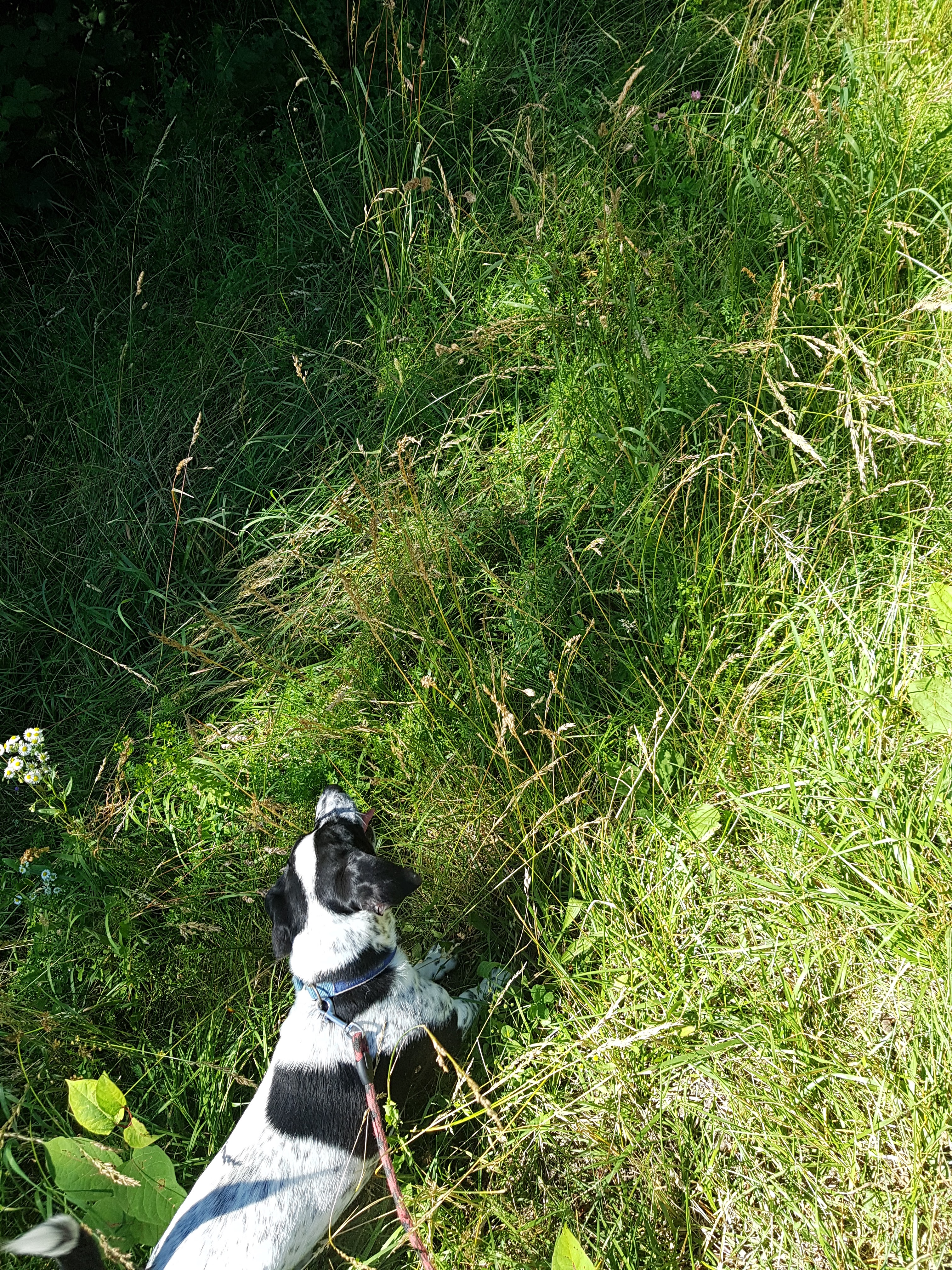 Photo n° 2 de l'avis de Twix. fait le 02/07/2018 à 16:24