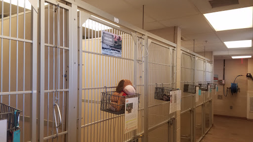 Animal Protection Organization «Humane Society of Sedona Inc», reviews and photos