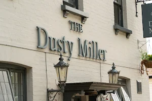 Dusty Miller image