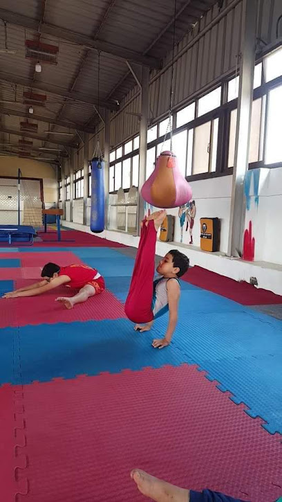 Gymnastic Academy