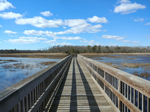 Nature Preserve «Eldora Nature Preserve», reviews and photos, 2350 NJ-47, Delmont, NJ 08314, USA