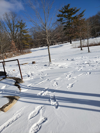 Park «Lippold Park - Fox Valley Park District», reviews and photos, 2001 S River St, Batavia, IL 60510, USA