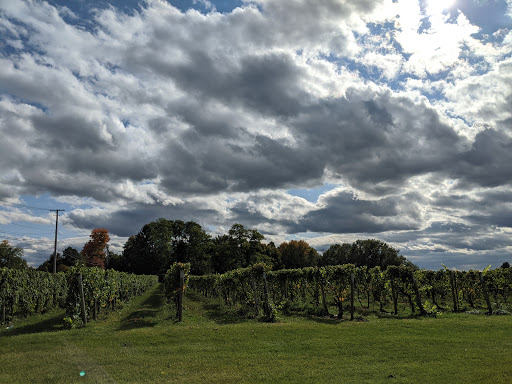 Winery «Casa Larga Vineyards», reviews and photos, 2287 Turk Hill Rd, Fairport, NY 14450, USA