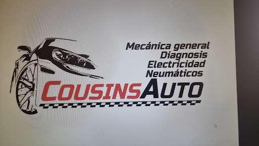 Cousins Auto en Burgos, Burgos