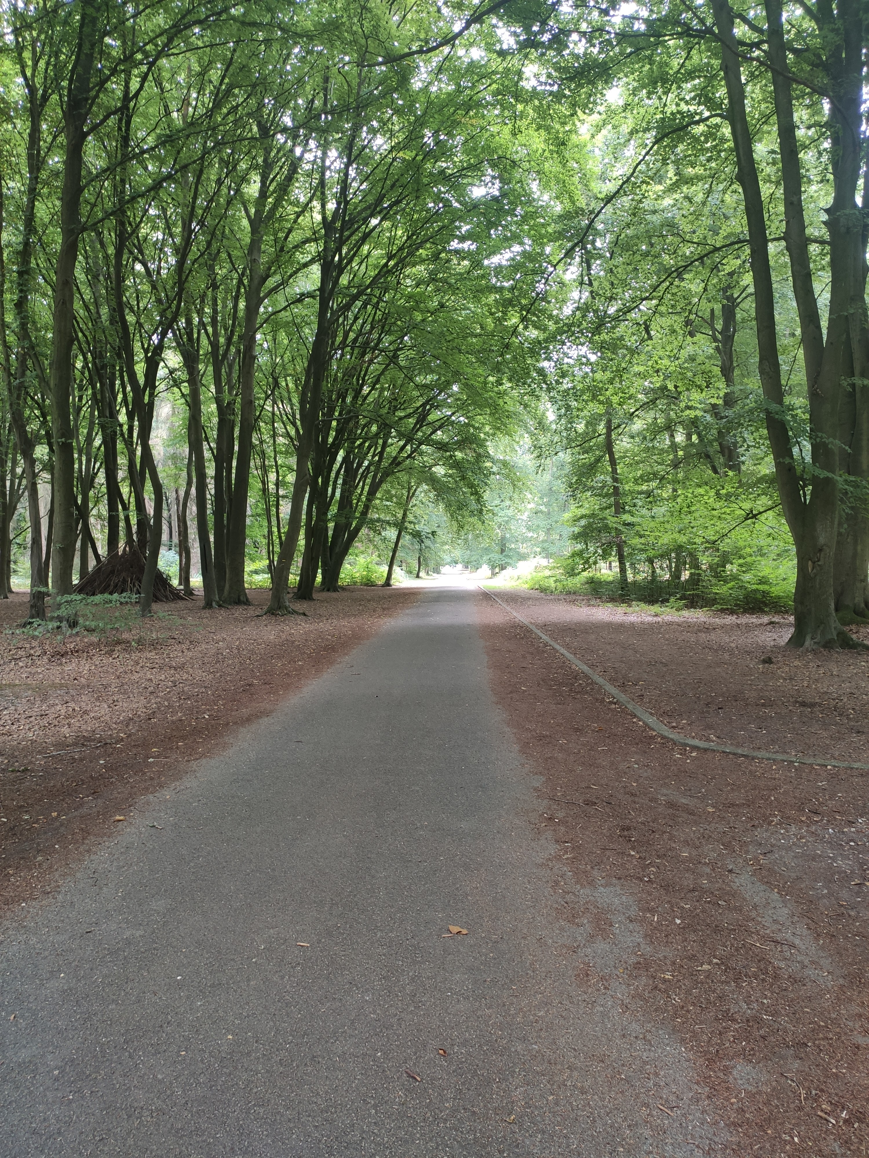 Photo n° 31 de l'avis de LAMBERT.r fait le 16/08/2022 à 19:17