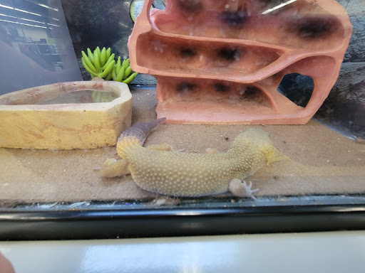 Pet Supply Store «Petco Animal Supplies», reviews and photos, 2358 S Range Ave, Denham Springs, LA 70726, USA