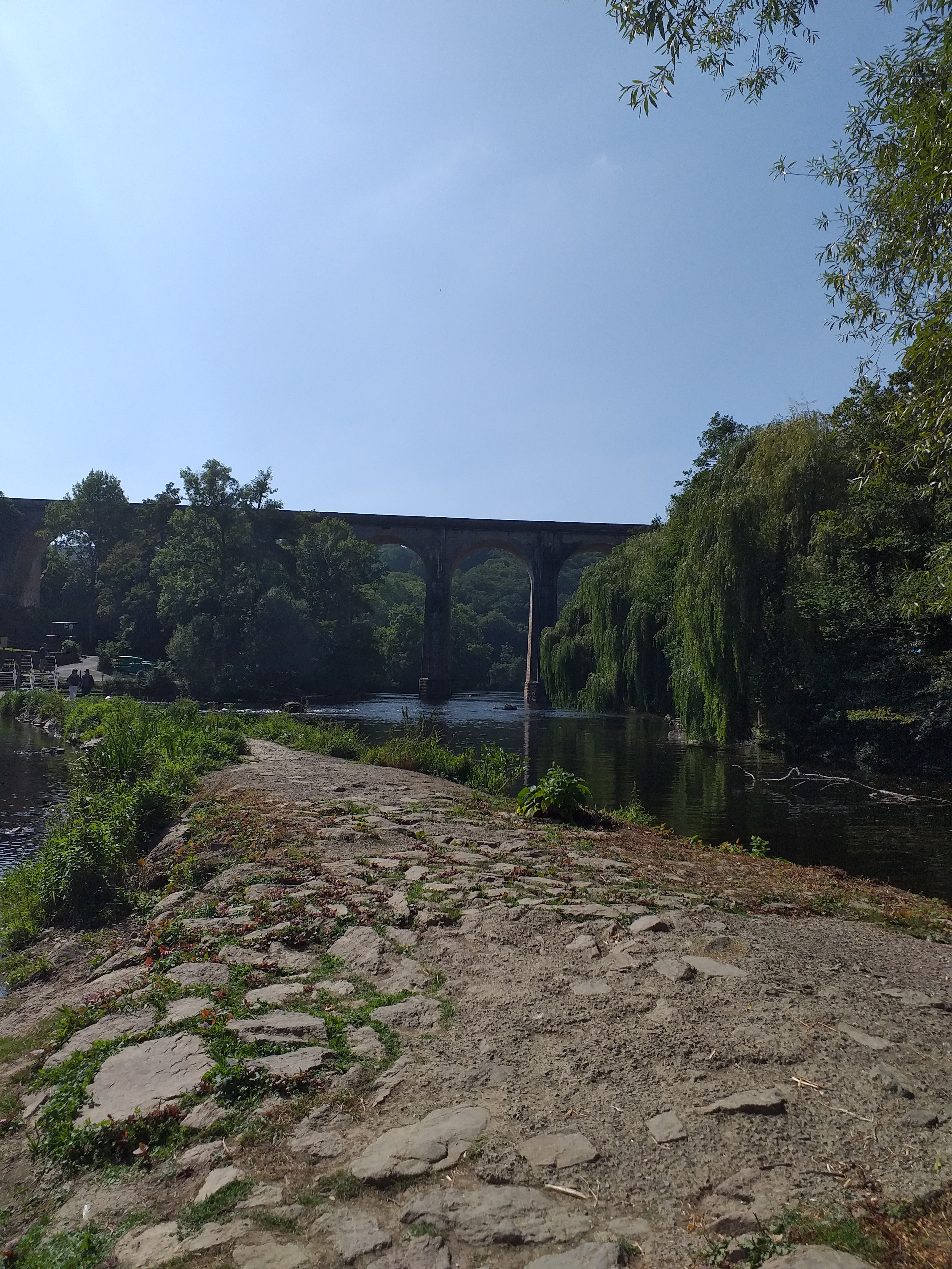 Photo n° 1 de l'avis de Letellier.e fait le 02/09/2021 à 14:05