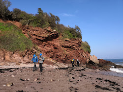 Photo de Oyster Cove zone sauvage