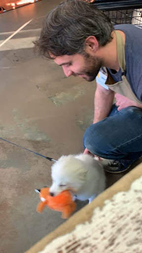 Pet Supply Store «Unleashed the Dog & Cat Store», reviews and photos, 7414 Creedmoor Rd, Raleigh, NC 27613, USA