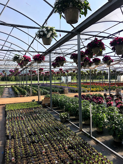 Dutch Brothers Green Houses, Inc.