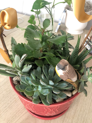 Florist «Towne Flowers», reviews and photos, 3307 Spring Stuebner Rd e, Spring, TX 77389, USA