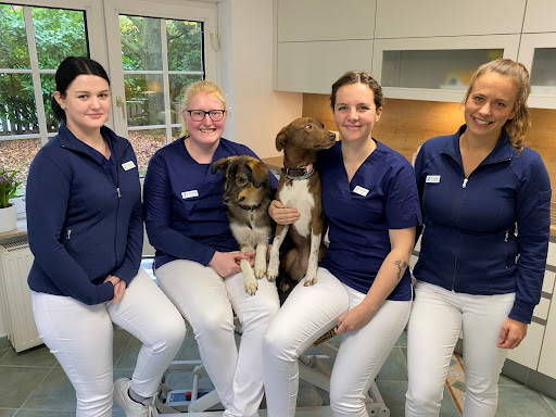 Kleintierpraxis Moormerland Dr. med. vet. Gertje Neu unter Moormerland, Niedersachsen