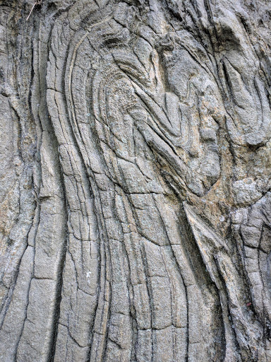 Botanical Garden «Botanical Gardens At Asheville», reviews and photos, 151 W .T. Weaver Blvd, Asheville, NC 28804, USA