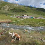 Photo n°3 de l'avis de Claudio.i fait le 24/08/2021 à 12:58 sur le  Agriturismo Alpe Mine - Livigno à Livigno