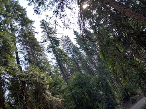 Historical Place «Klondike Gold Rush - Seattle Unit», reviews and photos, 319 2nd Ave S, Seattle, WA 98104, USA