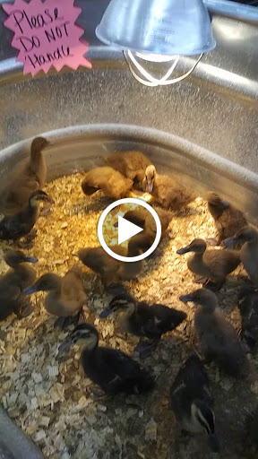 Department Store «Rural King», reviews and photos, 2947 S Washington St, Kokomo, IN 46902, USA