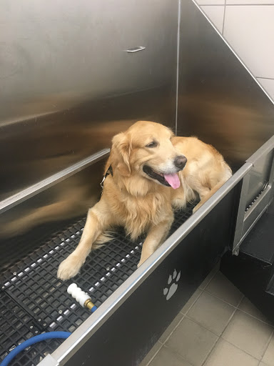 Pet Supply Store «Pet Supplies Plus», reviews and photos, 375 Paterson Ave #105, Wallington, NJ 07057, USA