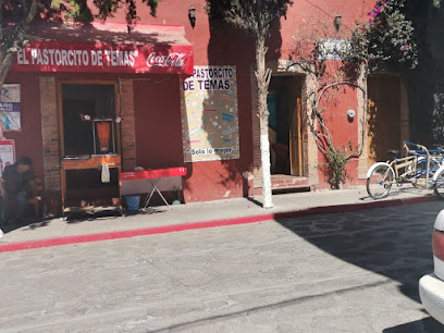 El Pastorcito De Temas - Tacos Al Pastor - De La Paz 8, Temascalcingo, 50400 Temascalcingo de José María Velasco, Méx., Mexico