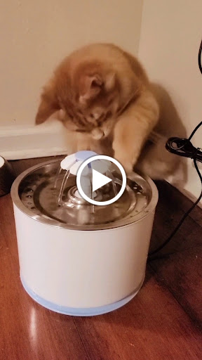 Building Materials Store «Home Improvement Outlet», reviews and photos, 507 Atlanta Highway Southeast, Winder, GA 30680, USA