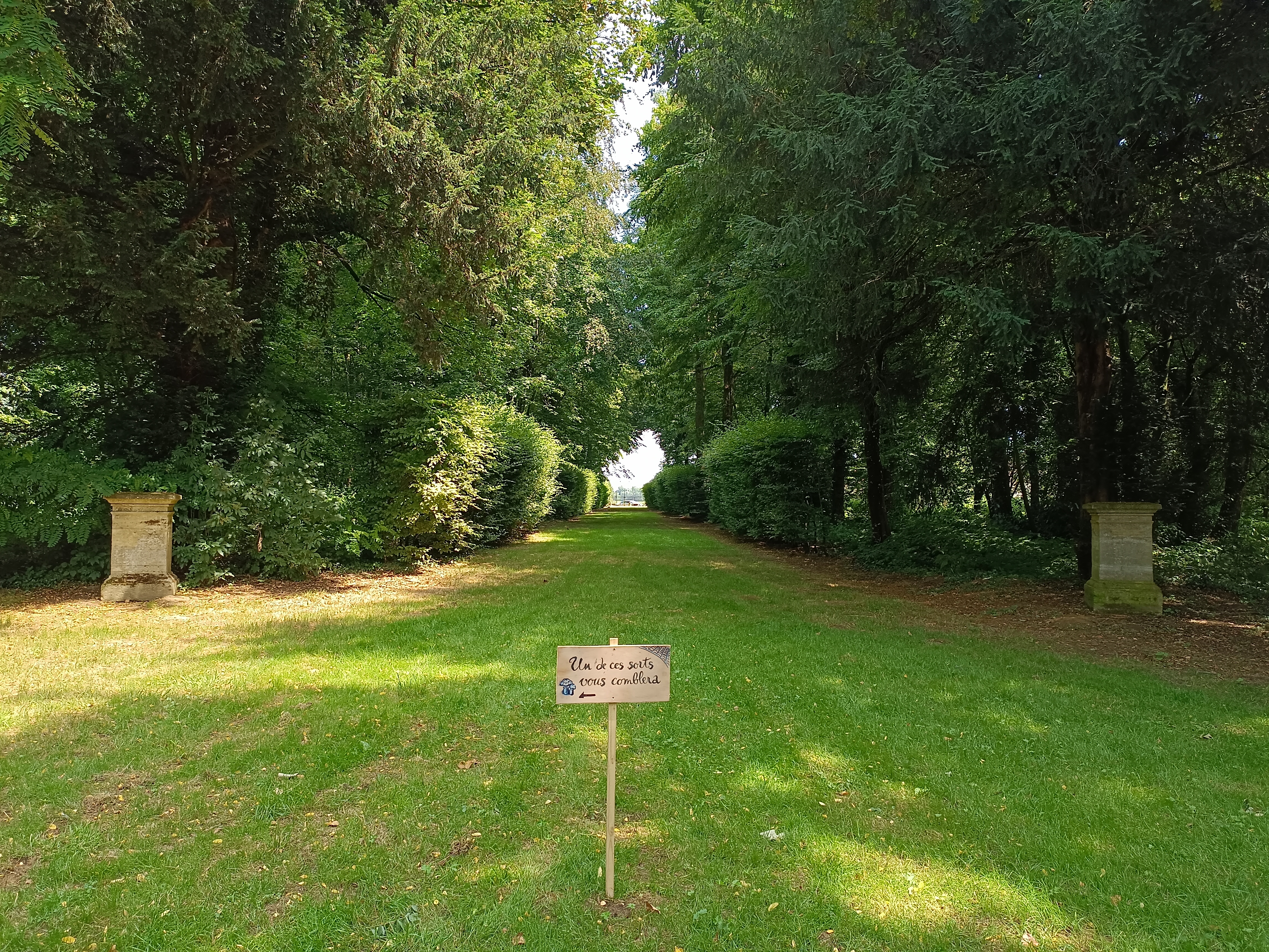Photo n° 40 de l'avis de Oréda. fait le 09/07/2023 à 19:49