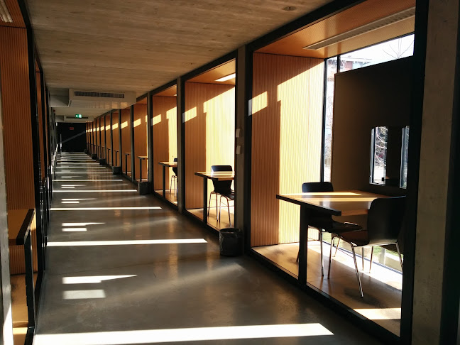 Biblioteca universitaria Lugano - Buchhandlung