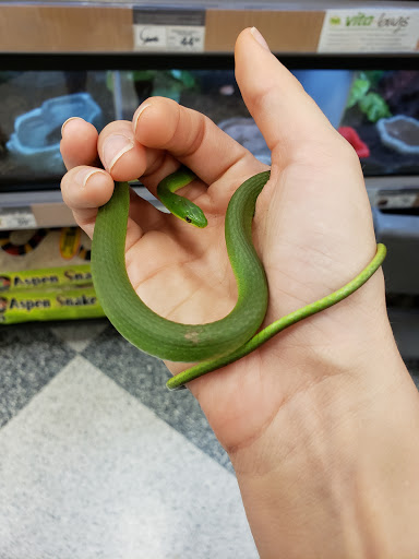 Pet Supply Store «Petco Animal Supplies», reviews and photos, 3577 S Rainbow Blvd, Las Vegas, NV 89103, USA