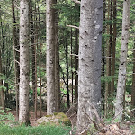 Photo n°1 de l'avis de Andrea.a fait le 21/06/2022 à 04:54 sur le  Rifugio Lagdei à Bosco
