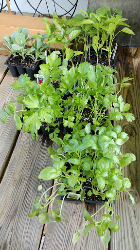 Garden Center «Binghamton Agway», reviews and photos, 145 Broad Ave, Binghamton, NY 13904, USA