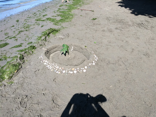 State Park «Dash Point State Park», reviews and photos, 5700 SW Dash Point Rd, Federal Way, WA 98023, USA