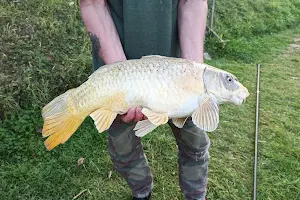 Waterbeach Angling Club image